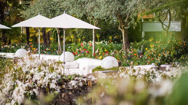 An oasis of nature - Park Hotel Mignon